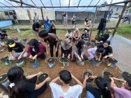 PENANAMAN BUAH MELON DI GREENHOUSE OLEH KELOMPOK 23 KKN-PPM UNIVERSITAS MERCU BUANA YOGYAKARTA